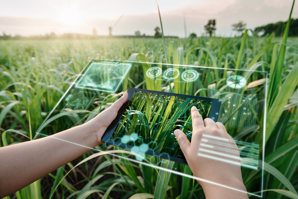 Les perspectives de l'intelligence artificielle dans l'agriculture